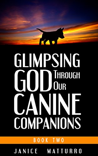 Glimpsing God Book 2